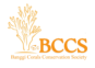 bccs